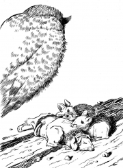 Louisa and Clark