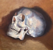 Skull study